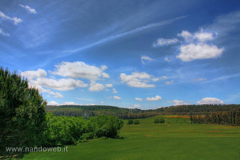 sfondo_prato_cielo_RIPULITO.jpg