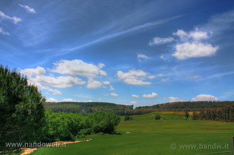 sfondo_prato_cielo_ORIGINALE.jpg