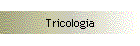 Tricologia